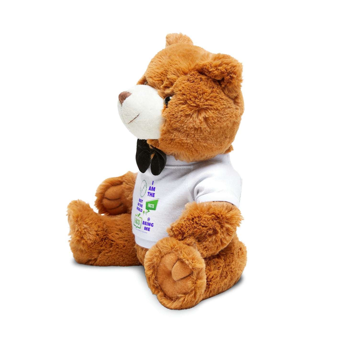 The best at being me Teddy Bear with T-Shirt