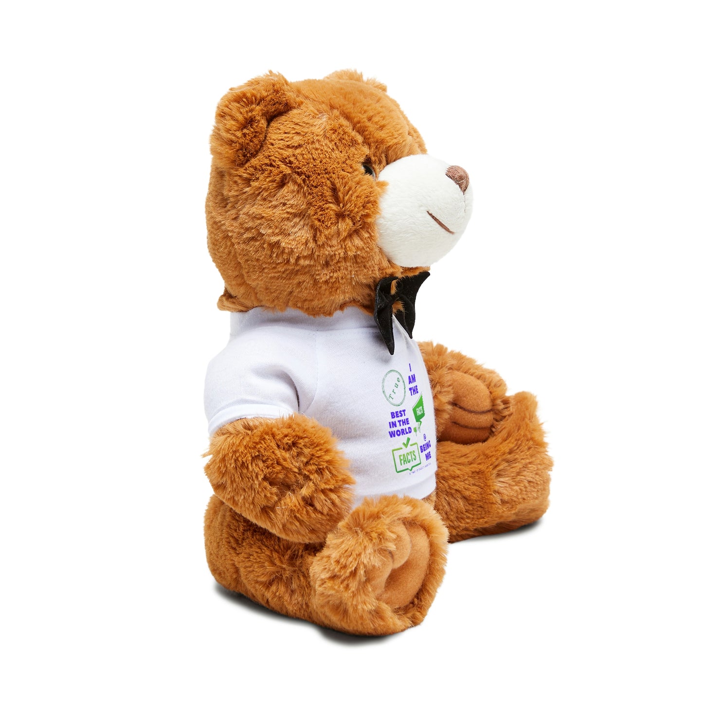 The best at being me Teddy Bear with T-Shirt